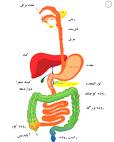 دکتر علی عرفانی کریم زاده طوسی