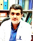 دکتر سید حمزه حسینی