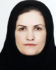 سرکار خانم دکتر سیدزهرا حسینی