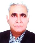 دکتر محمدتقی معینی پور