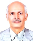 دکتر محمدرضا نجفی