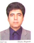 دکتر عیسی حمدی پور