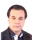 دکتر محمدحسین حبی