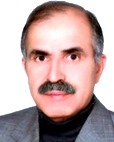 دکتر محمد تقی ایمانی