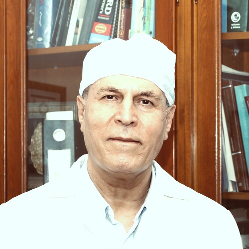 رضا همتی