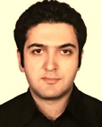 دکتر محمد فتحی