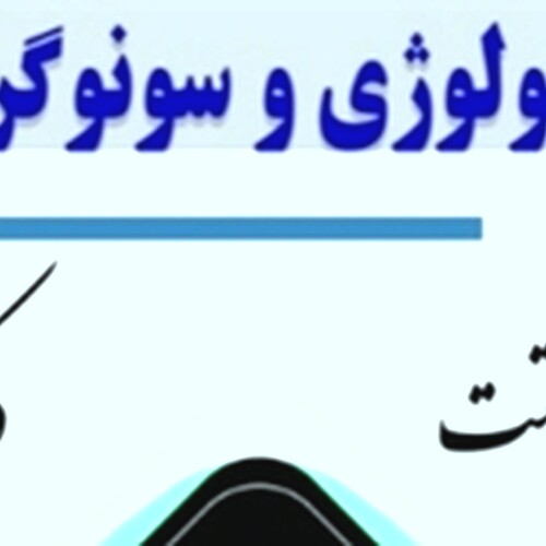 دکتر محمدجواد حقیقت