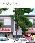 دکتر سید محمود حسینی