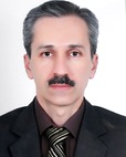 دکتر سید مهران برقعی
