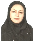 شیوا فتحی