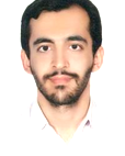 دکتر سید مجتبی موسوی