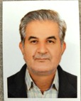 دکتر علی اکبر میرثانی