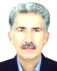 دکتر حسن نصرالله پور
