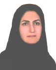 سولماز رزاقی