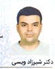 دکتر شیرزاد ویسی