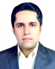 مجتبی پورزکی