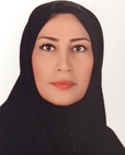 پریسا نخبه زعیم