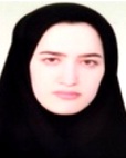 مژگان ویسی