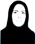 نسرین نظری
