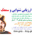 رضا حسنی