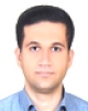 جناب آقای دکتر مجتبی دانافر
