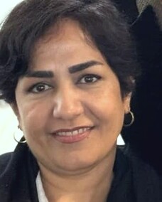 نسرین رجبی