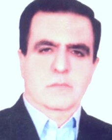 دکتر عبدالحمید محمدی